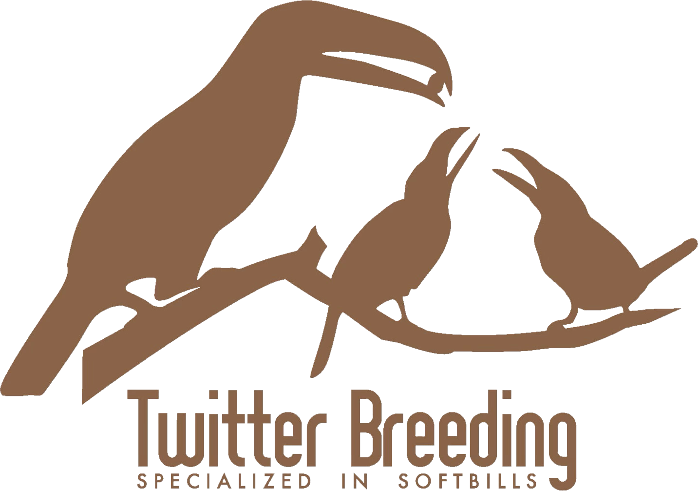 Twitter Breeding Logo